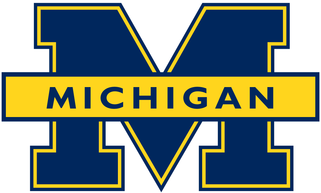Michigan Wolverines 1996-2011 Primary Logo iron on transfers for fabric